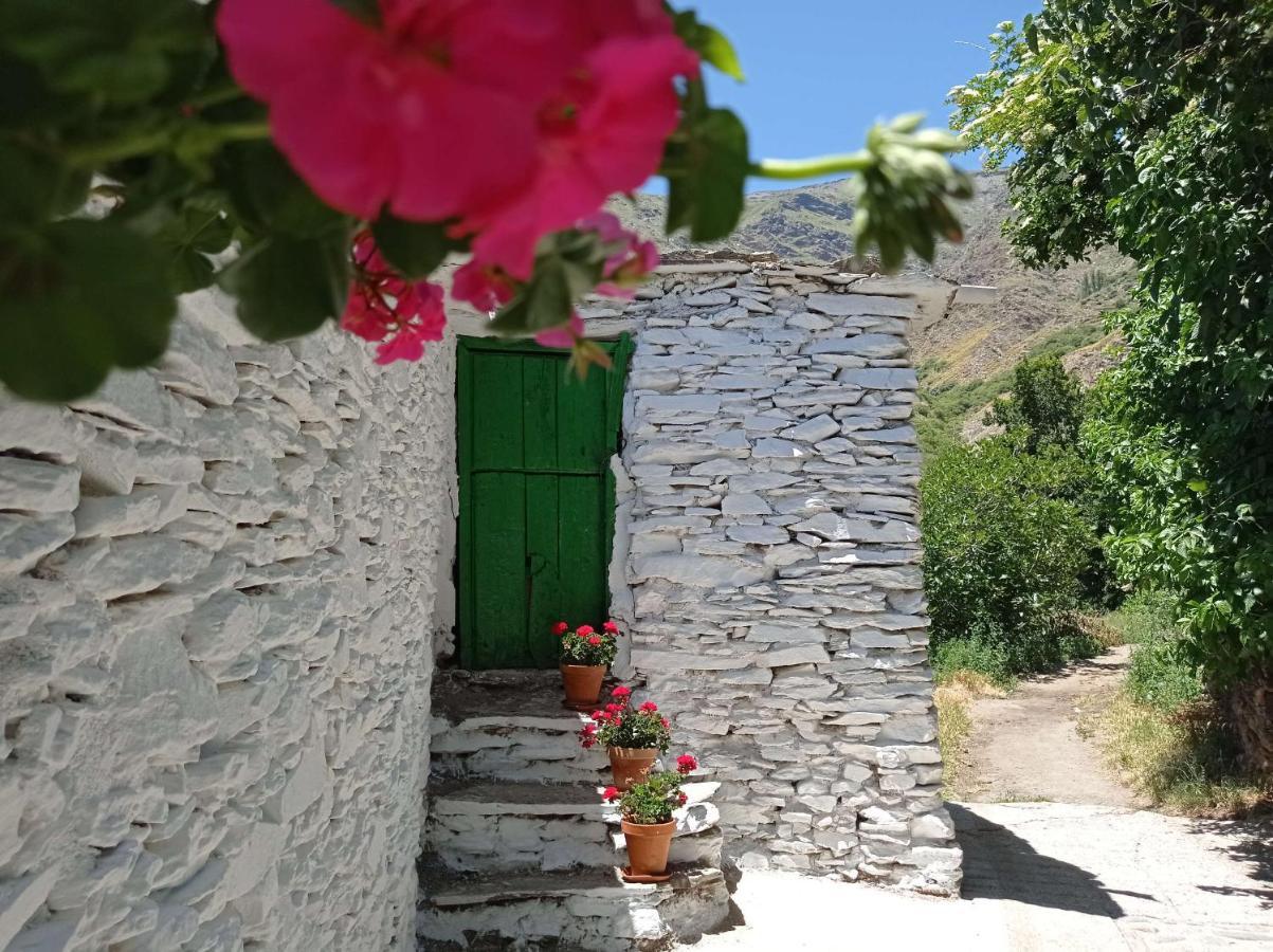 La Abuela Mercedes En Trevelez Exterior photo